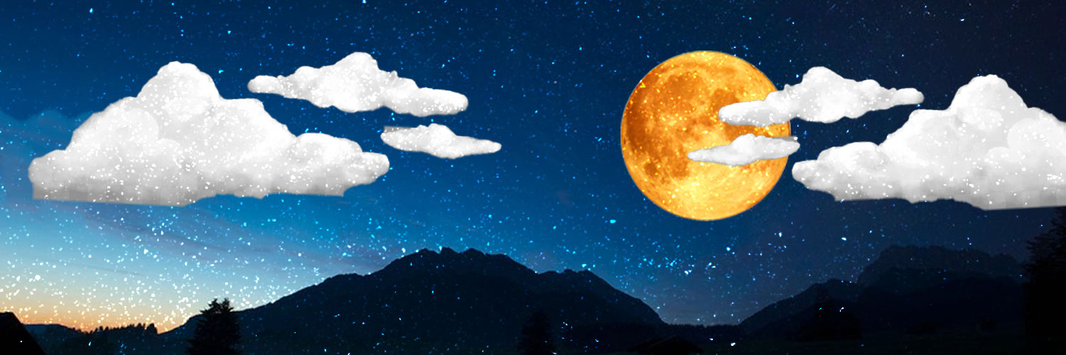 RNHAAP's profile banner image