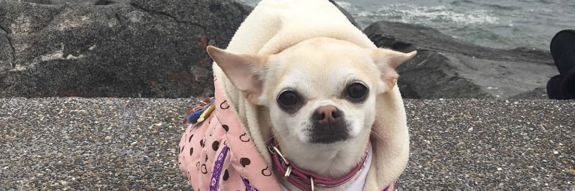 melychu__'s profile banner image