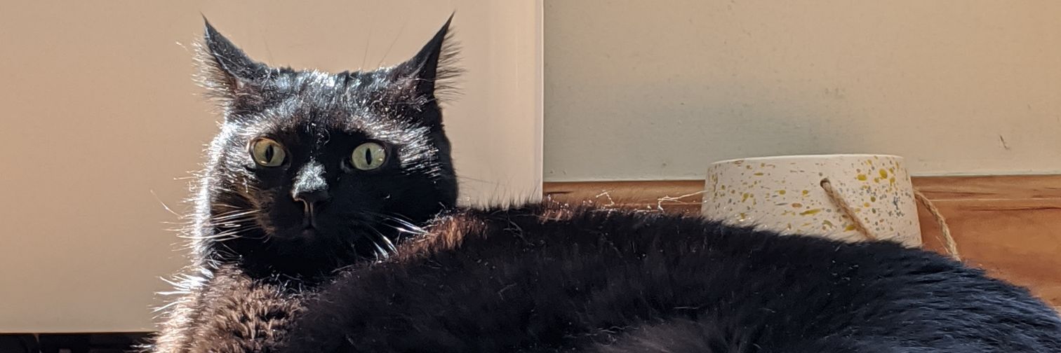 relaxitsokaybb's profile banner image