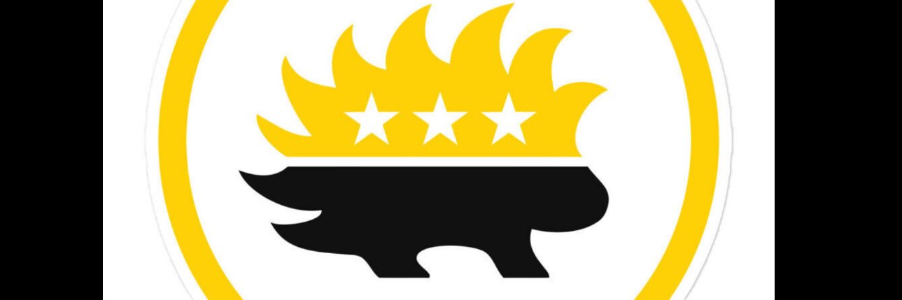 BruinStanley's profile banner image