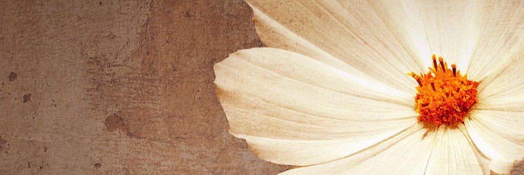 Lonakay99's profile banner image