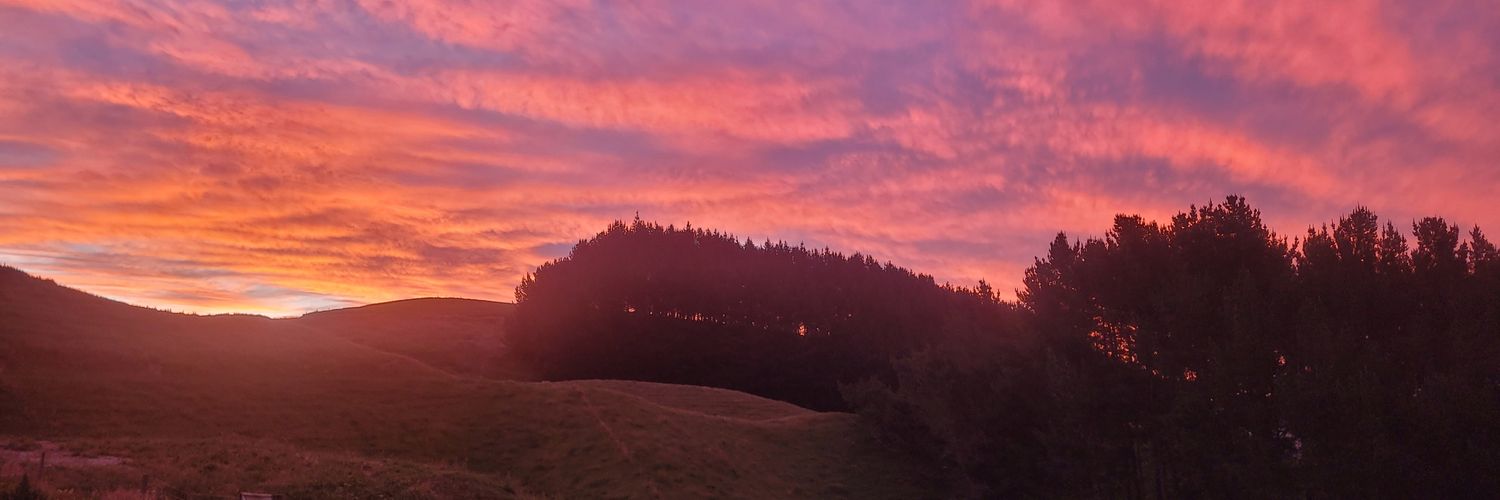 Tesha 🇳🇿 banner