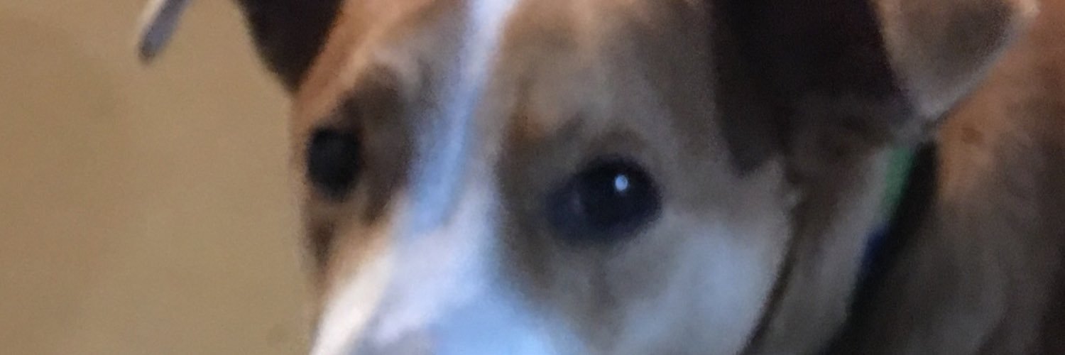ManningMyron's profile banner image