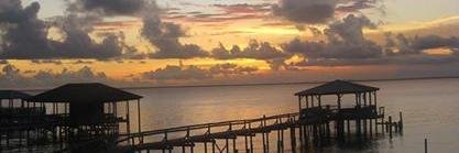 BAMA338nutt's profile banner image