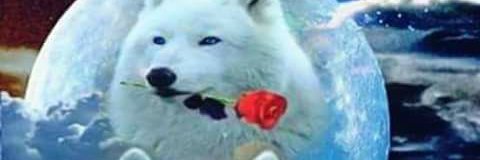 Valross31Ross's profile banner image