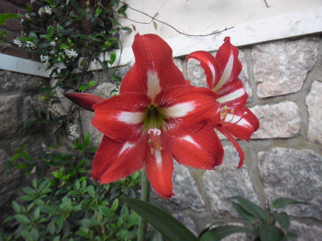 marii71mar's profile banner image