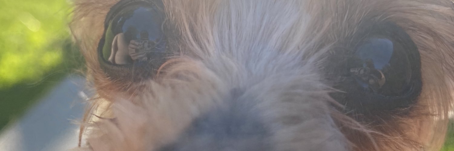 _vfhellmann's profile banner image