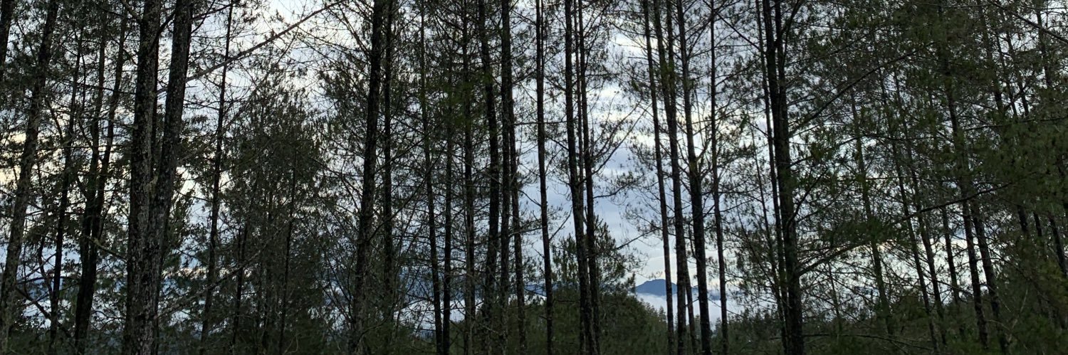 dwikiandrianus_'s profile banner image