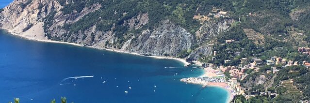 Julie Angiolillo banner