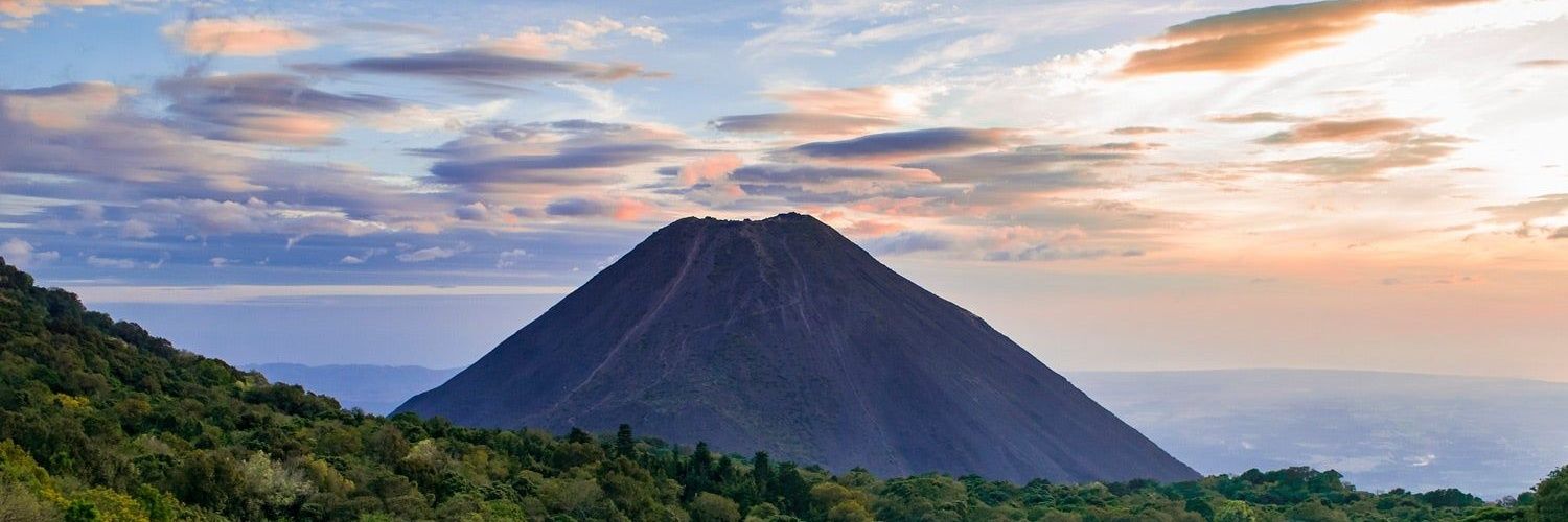 Norma Flores Allende banner