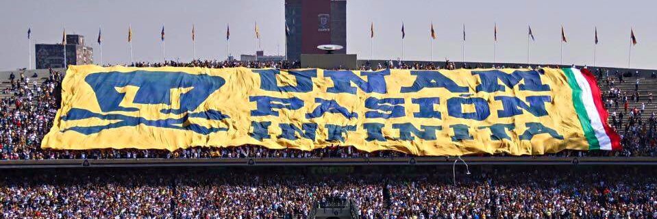 Jonathann Mandujano banner