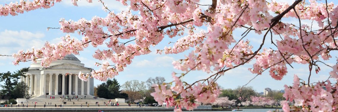 Samantha Cajade banner