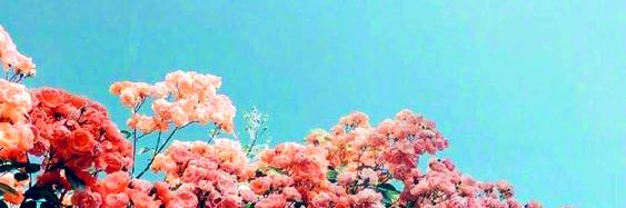 mo_o_restreep's profile banner image