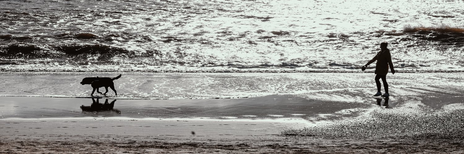 Tetley’s Momma banner