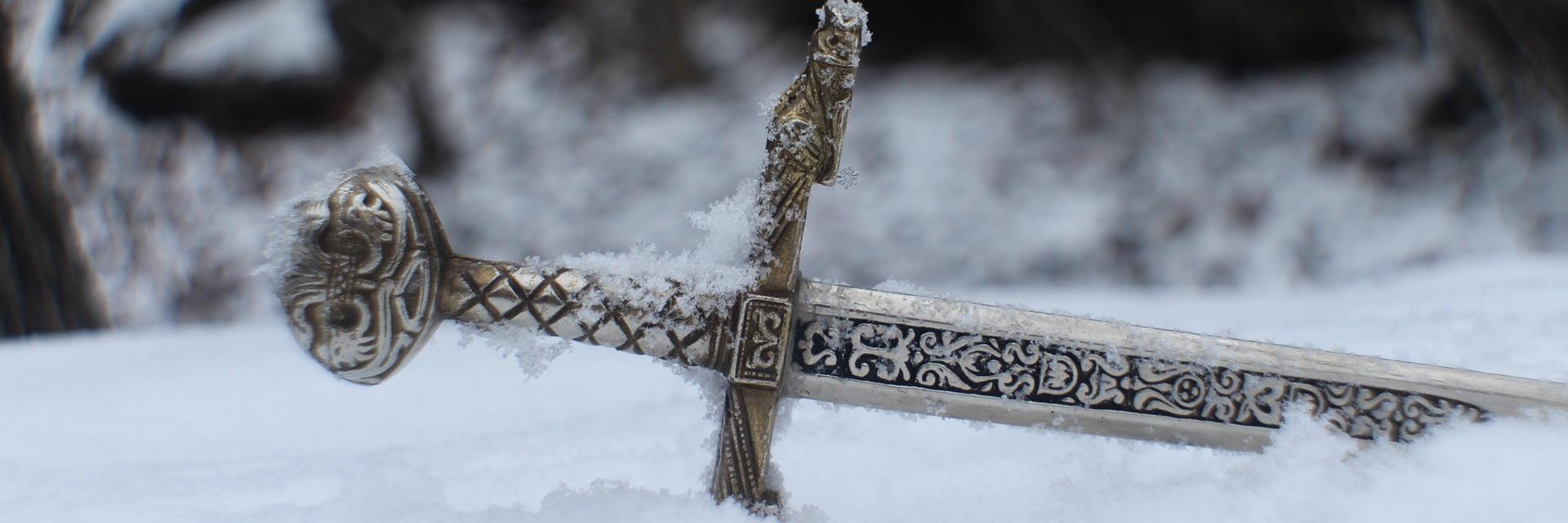 Patricia Correll banner