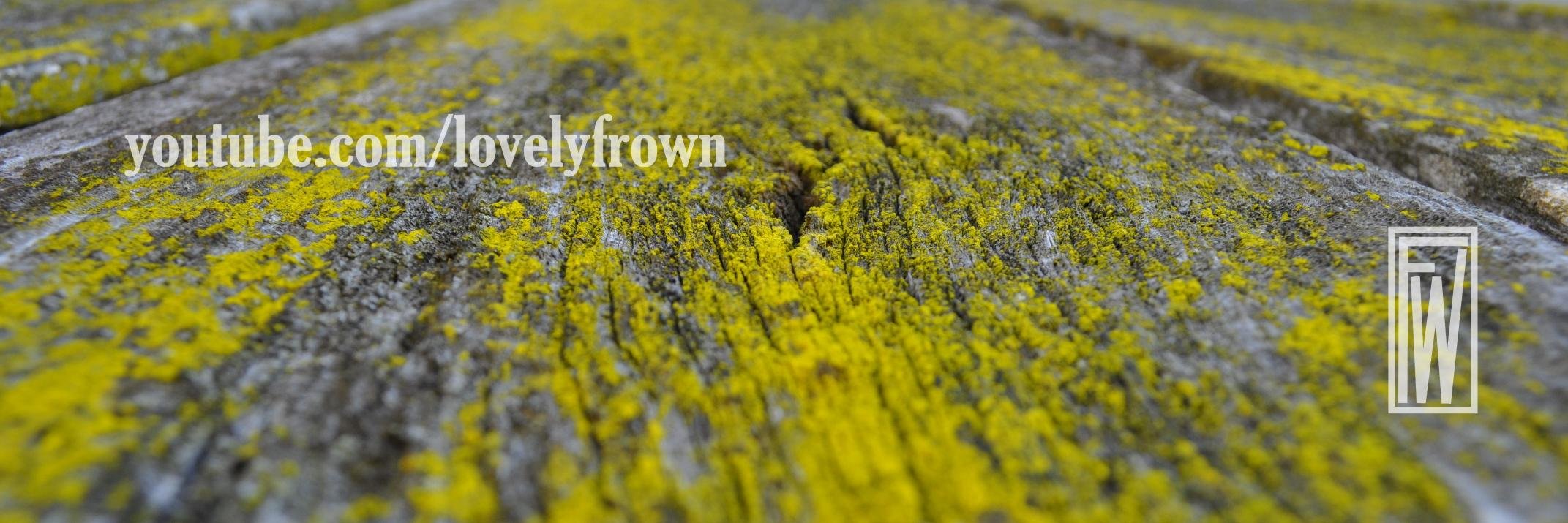lovelyfrown's profile banner image