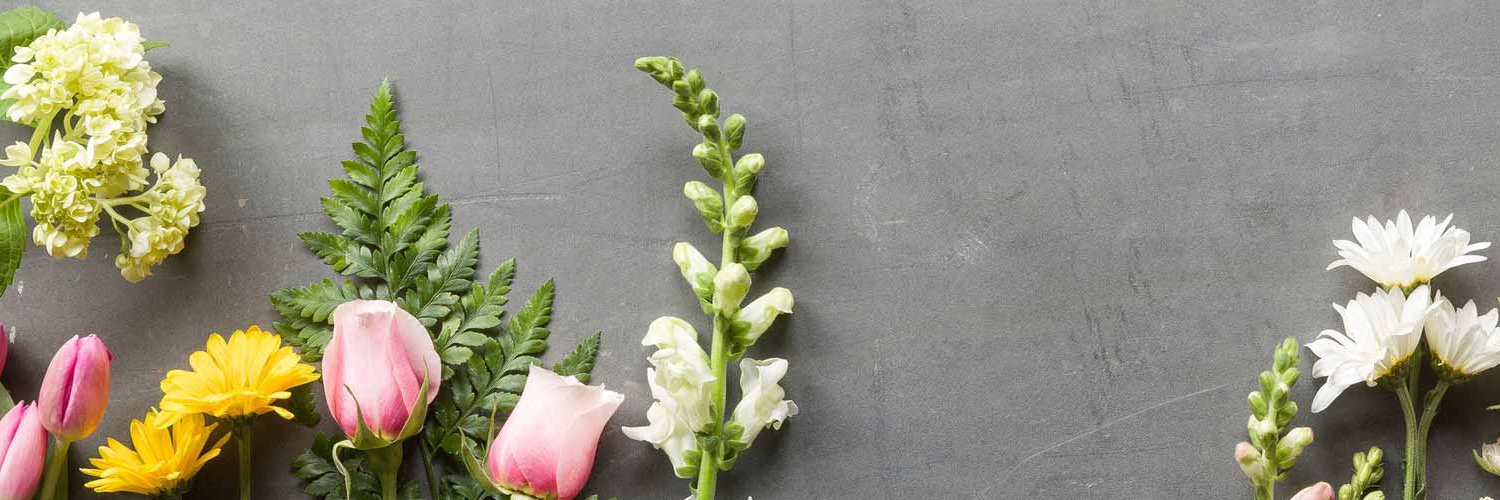 _ChristinaBlunt's profile banner image