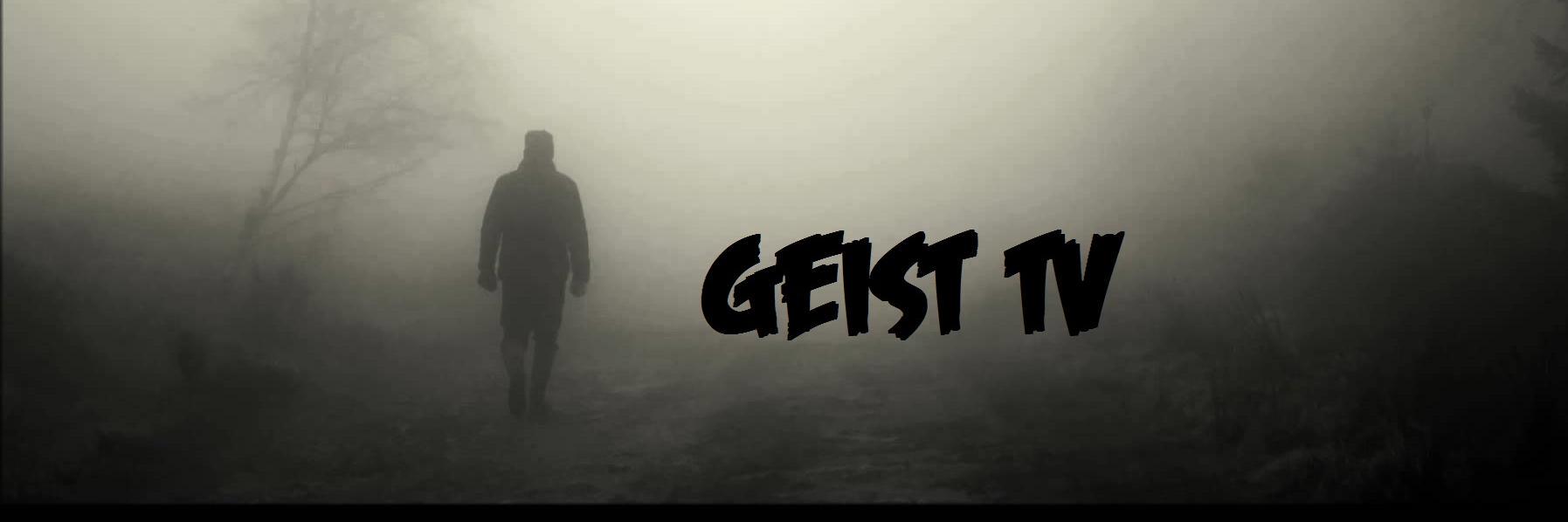 TheRealGeist's profile banner image