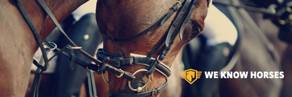 PuntingBaron Profile Banner