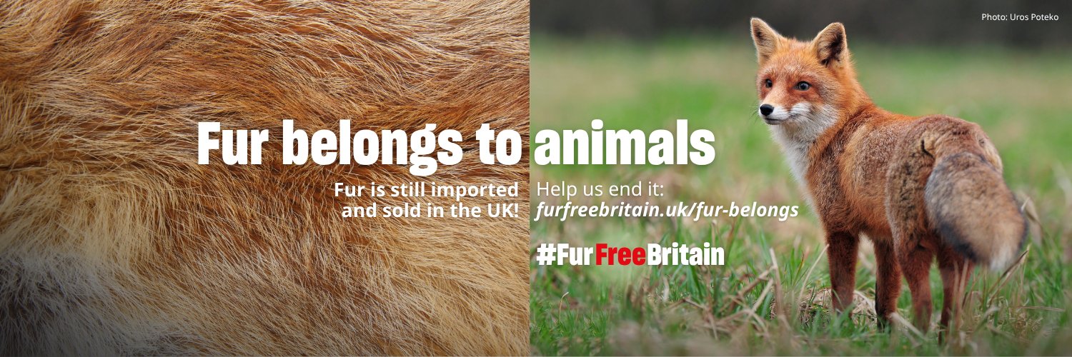 humaneworlduk's profile banner image
