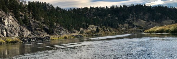 CeCeDeCamp Profile Banner