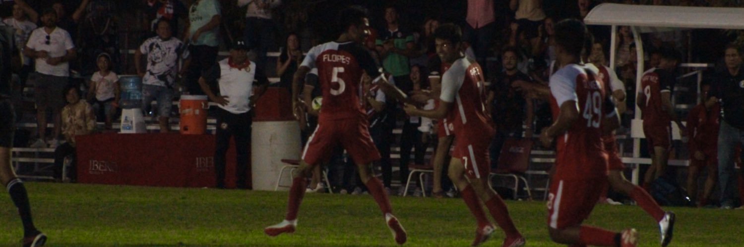raulpaezch banner