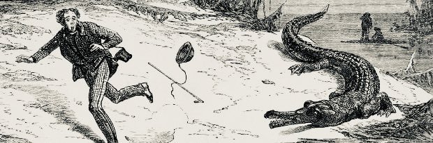 revthomasthorn's profile banner image
