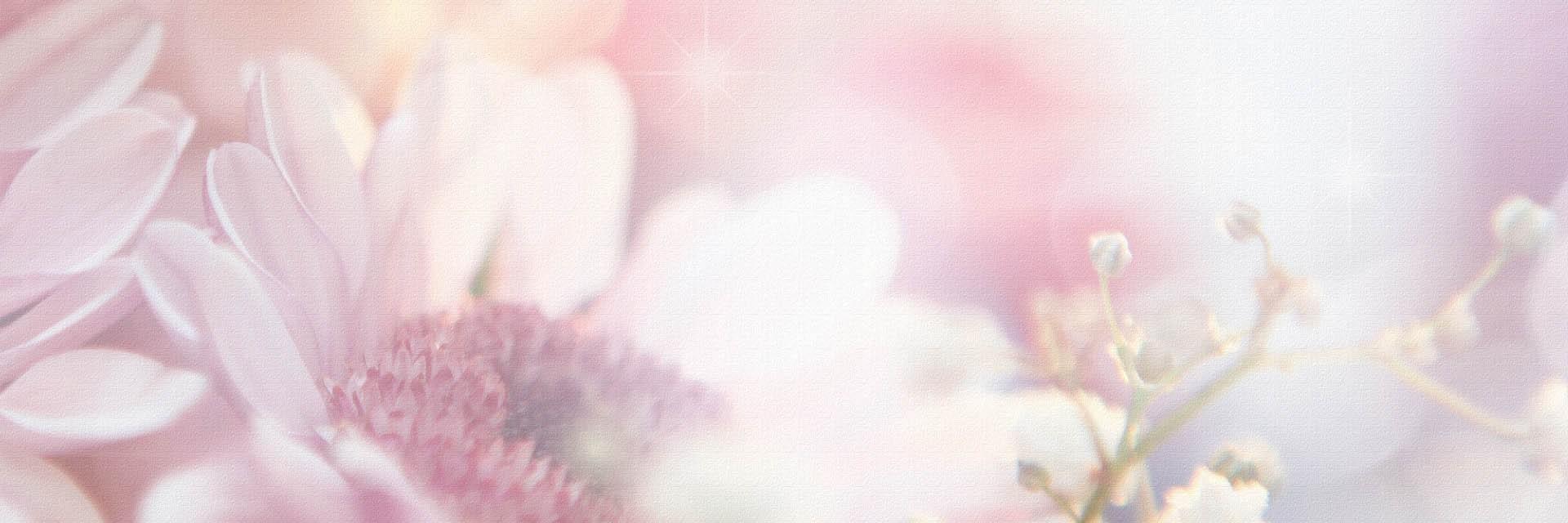Come_HolySpirit's profile banner image