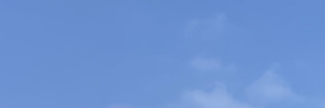 softdrinkcora's profile banner image