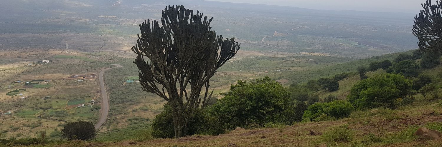 fmmuriithi's profile banner image