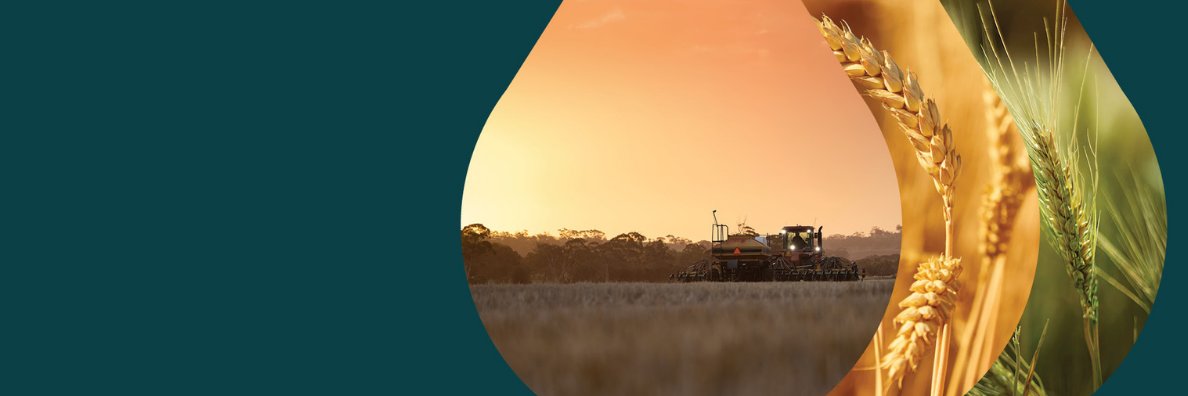 MsfMallee's profile banner image