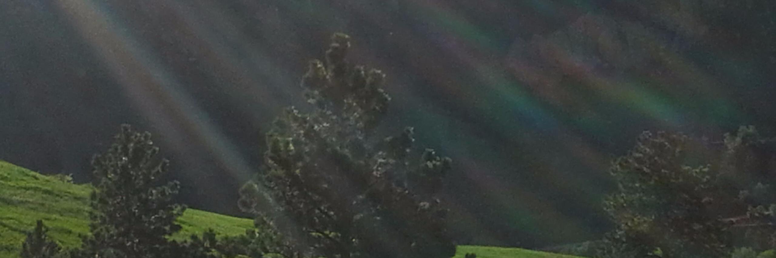 Valerie Porwit banner