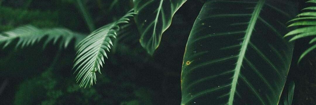 annisayln_'s profile banner image