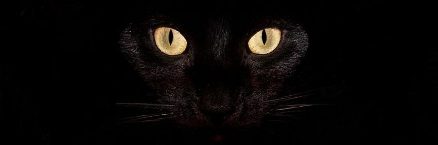 Weedlove55's profile banner image