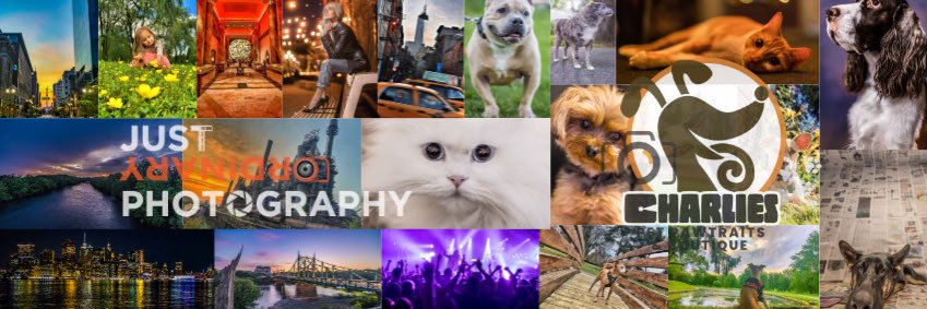 TookYourPhoto's profile banner image