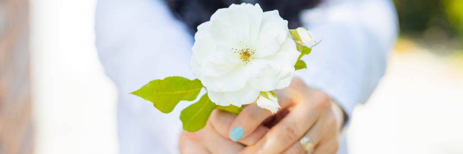 DrBarbaraRyan's profile banner image
