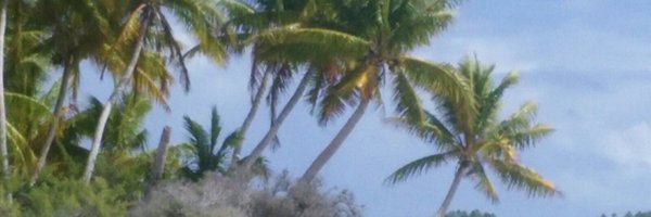 UGiangrieco Profile Banner