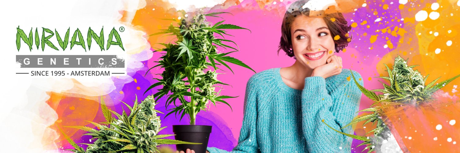 Nirvana Shop banner