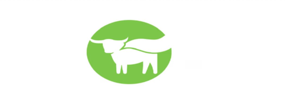 bynd_coin's profile banner image
