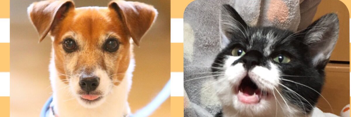 K2C_Erika's profile banner image