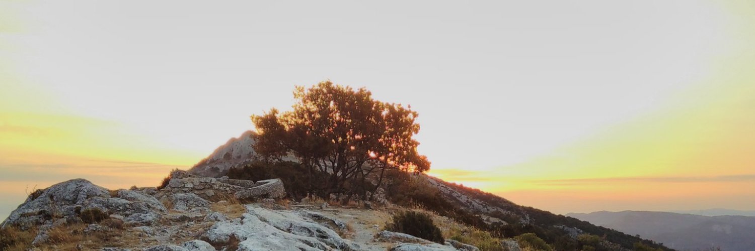 Яemseeks † = ♥ن banner