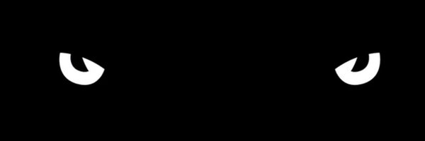 CatamountHoops Profile Banner