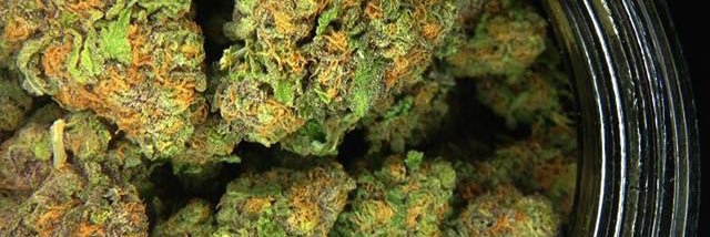 lannyjam420's profile banner image
