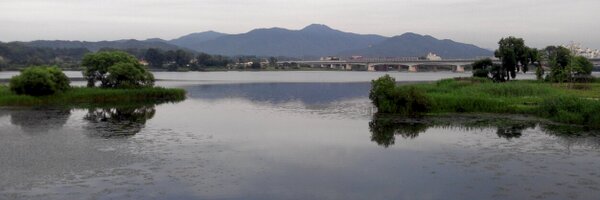 arizonayoo Profile Banner