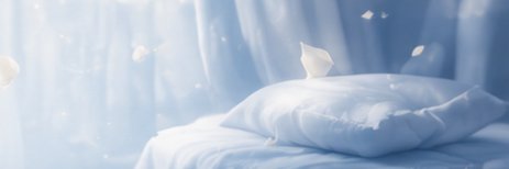 echi_oba's profile banner image