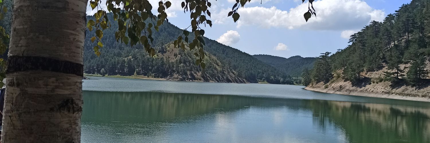 ForesterCrypto's profile banner image