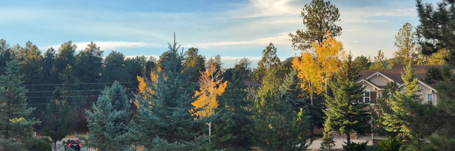 bsstillman's profile banner image