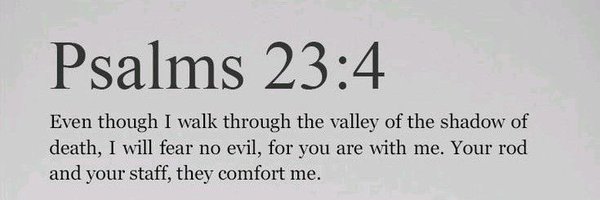 flozyfavor Profile Banner