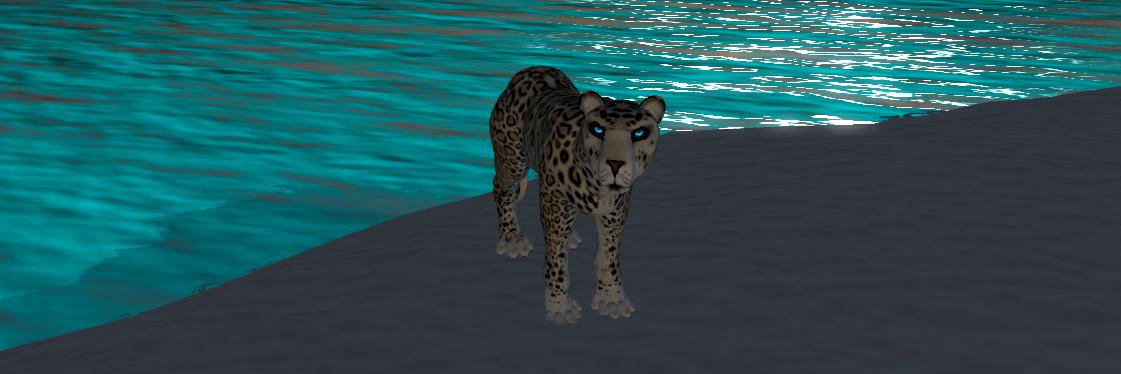 Gallery Fermate banner