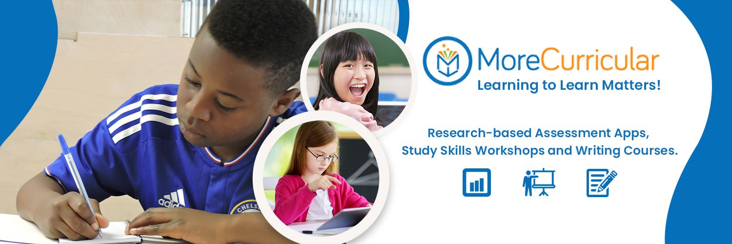 MoreCurricular banner